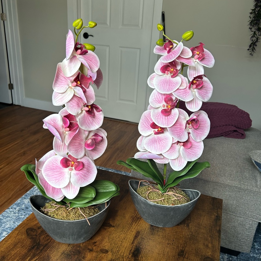 Elegant Pink Orchid Arrangement
